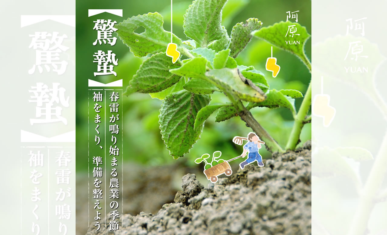 二十四節気「啓蟄(ケイチツ)」阿原YUAN