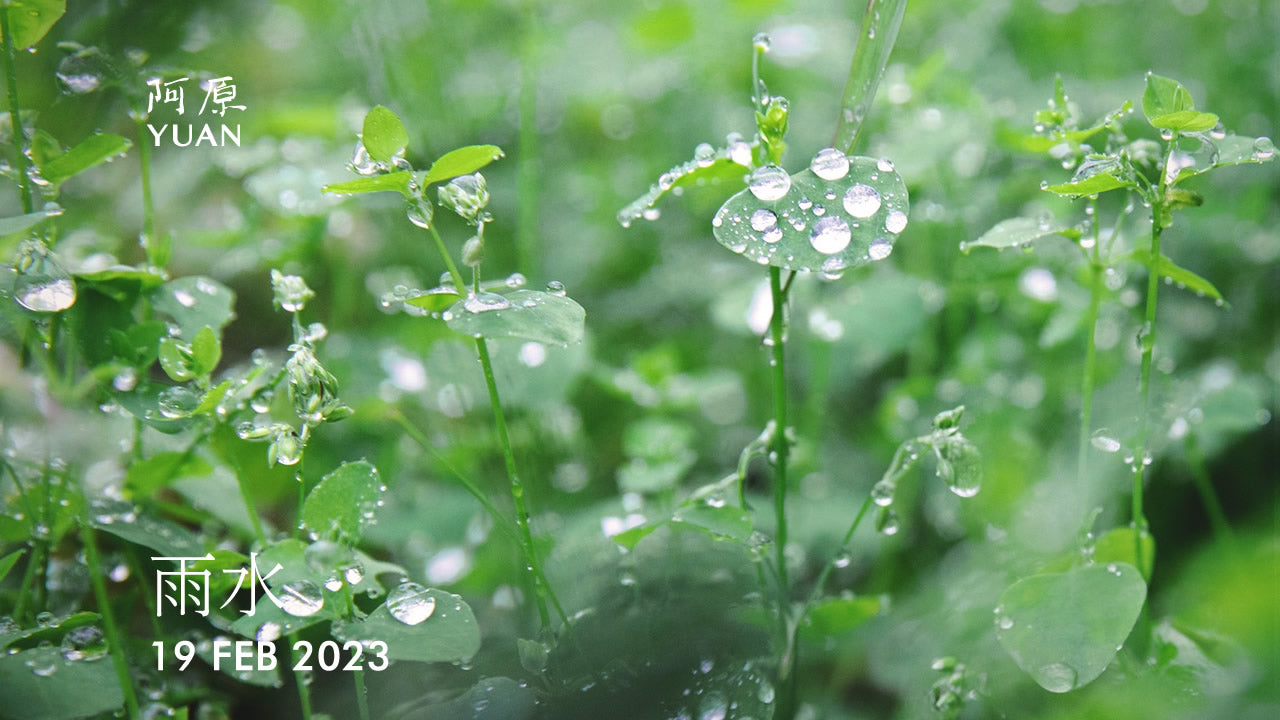 阿原YUAN　二十四節気「雨水（うすい）」