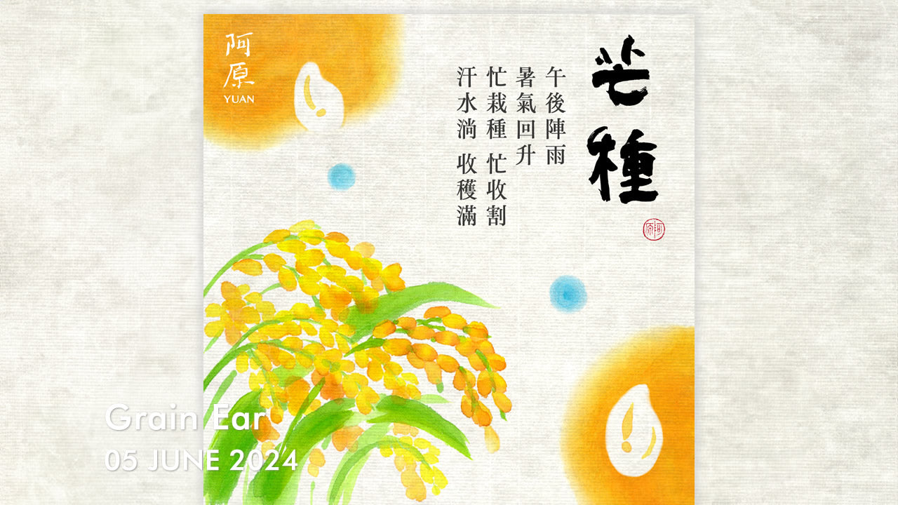 二十四節気「芒種（ぼうしゅ）」2024