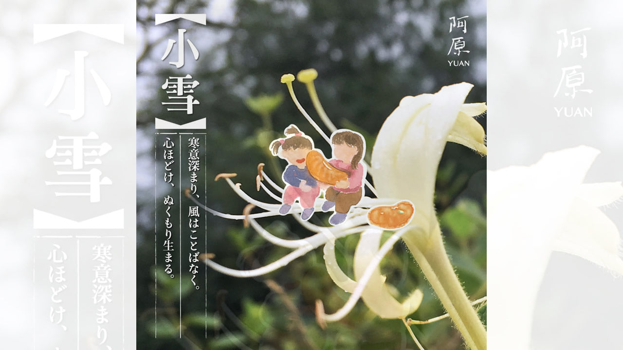 二十四節気「小雪（しょうせつ）」2025