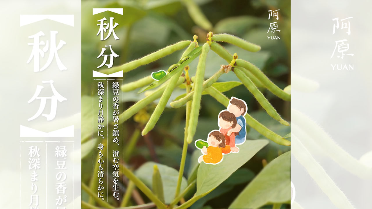 二十四節気「秋分（しゅうぶん）」2025