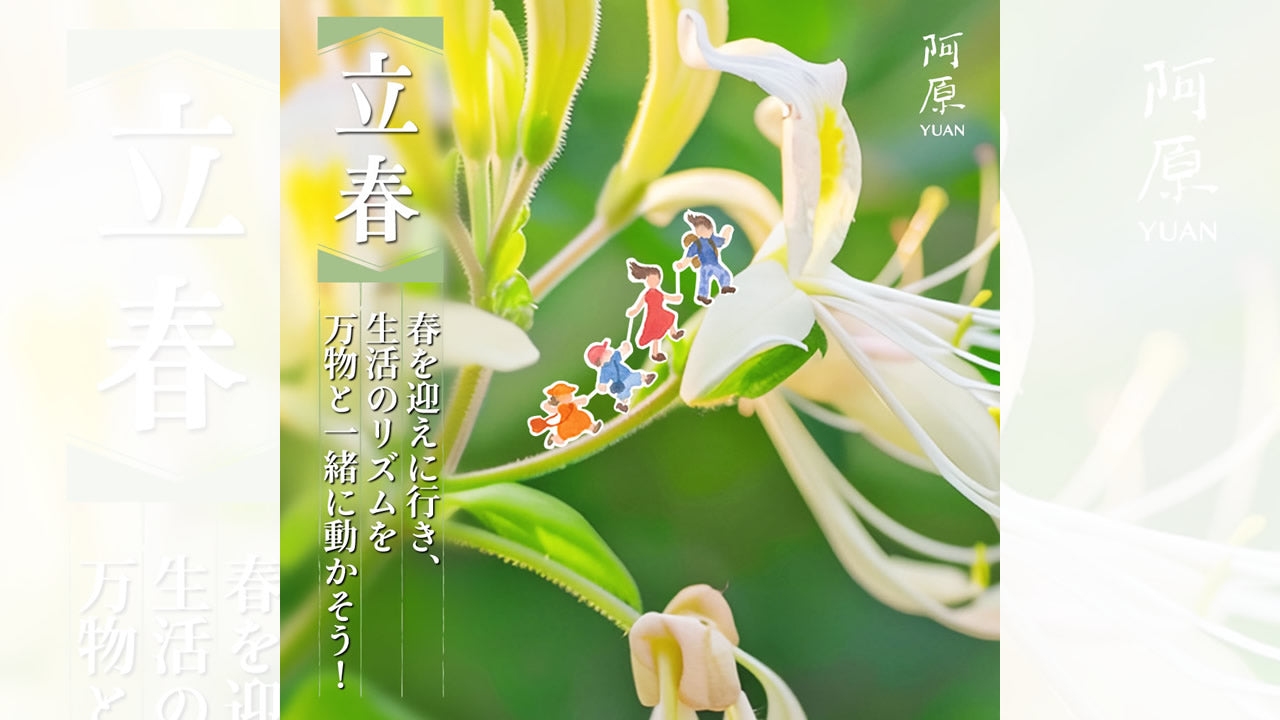二十四節気「立春（りっしゅん）」2025