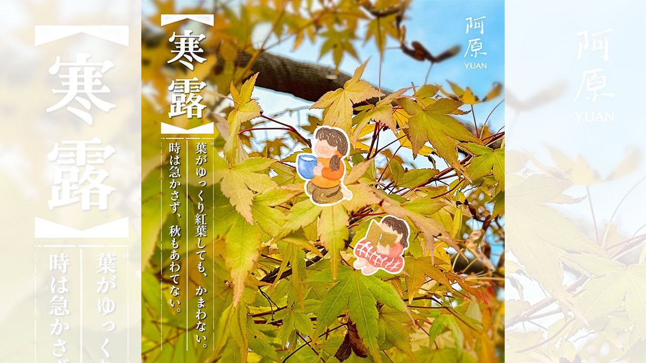 寒露2025