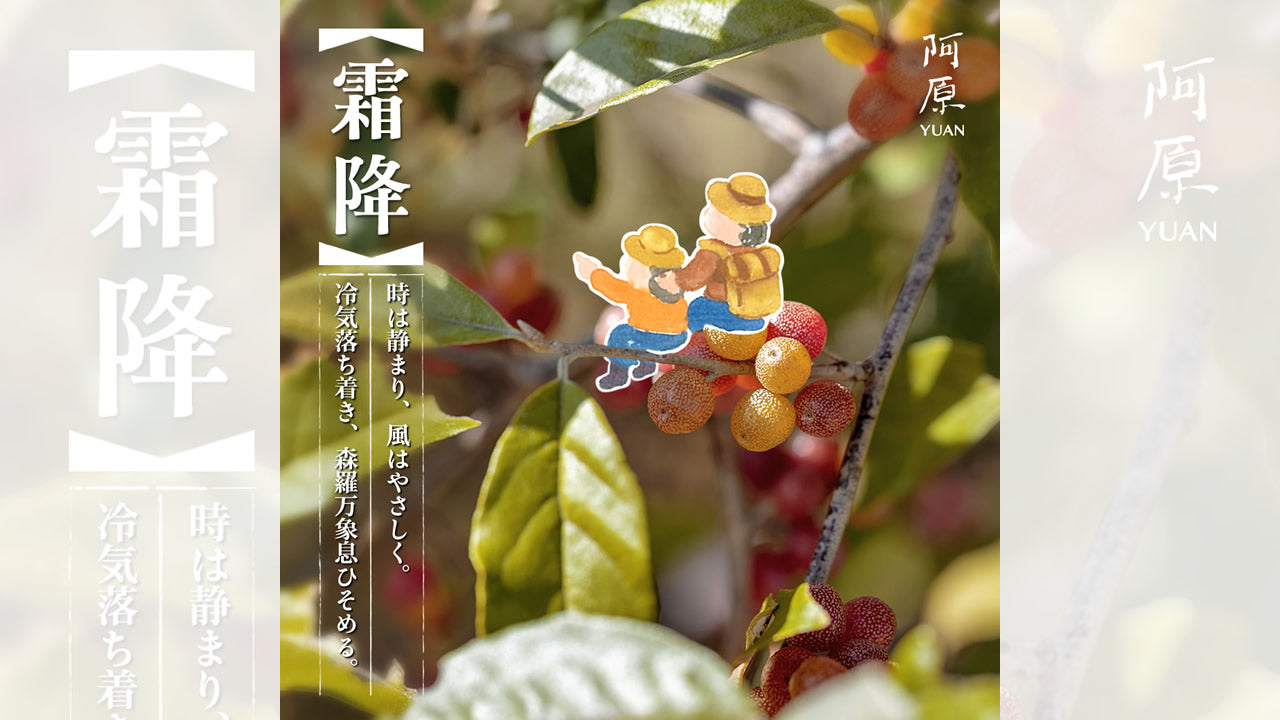 二十四節気「霜降（そうこう）」2025