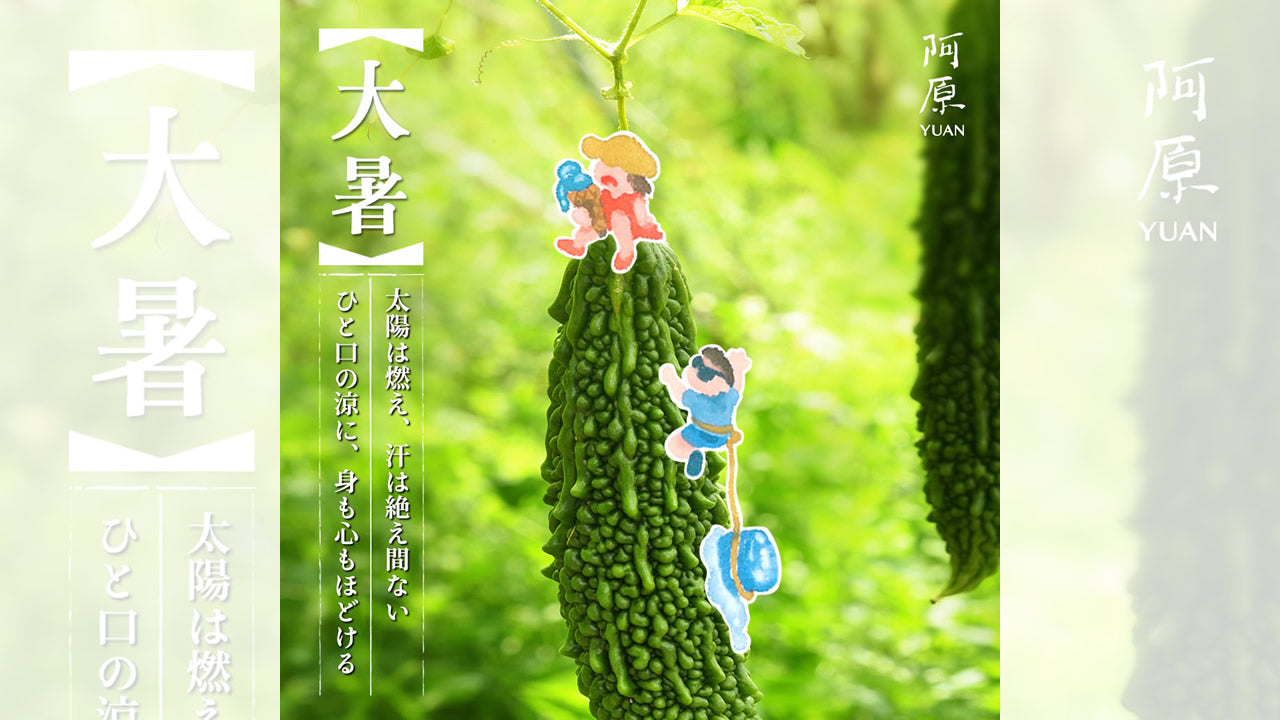 二十四節気「大暑（たいしょ）」2025