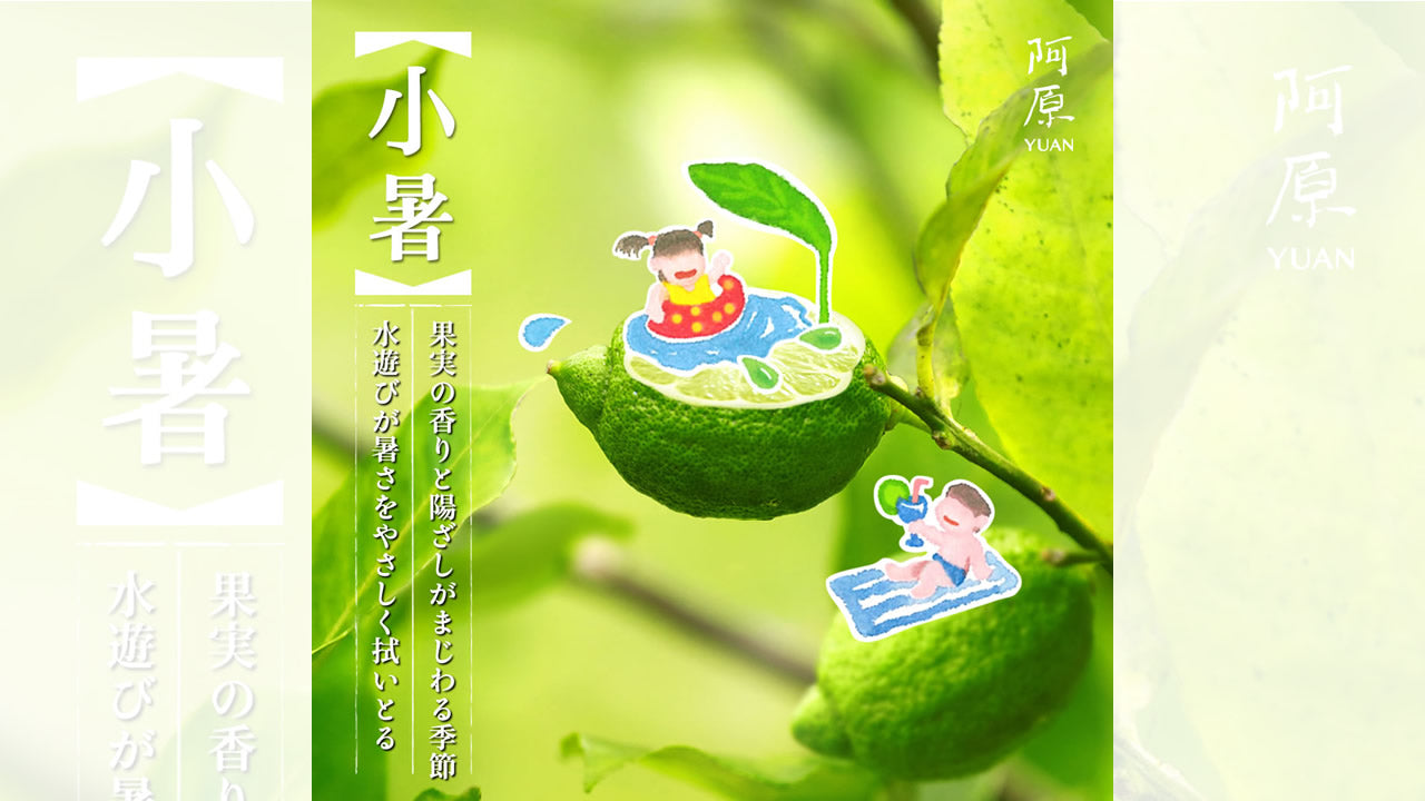 二十四節気「小暑（しょうしょ）」2025