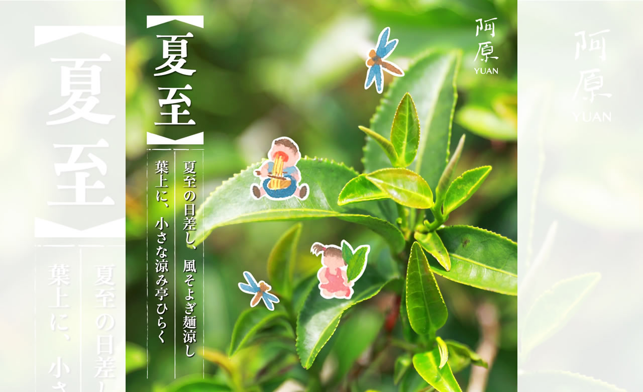 心と体に涼を灯す、夏至の過ごしかた