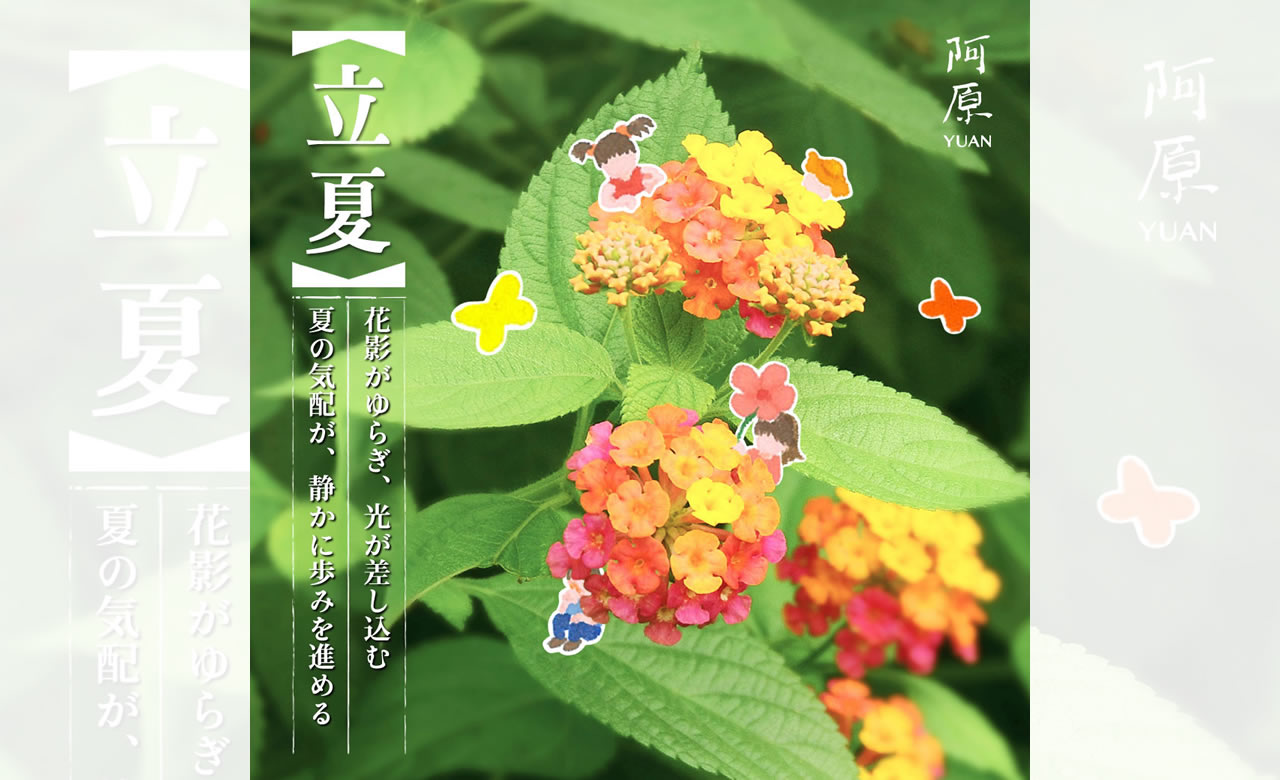 二十四節気「立夏（りっか）」2025