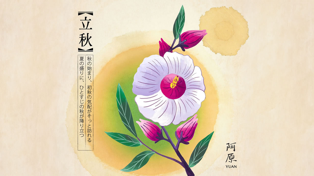 二十四節気「立秋（りっしゅう）」2026