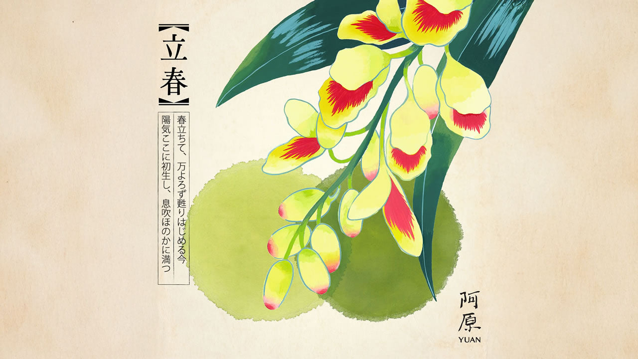 二十四節気「立春（りっしゅん）」2026