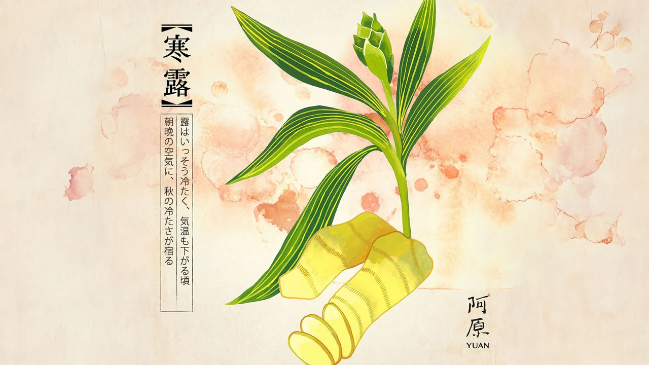 二十四節気「寒露（かんろ）」2026