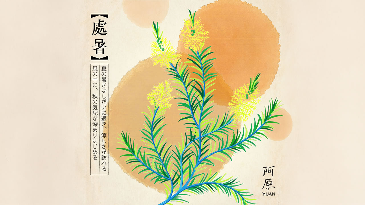 二十四節気「処暑（しょしょ）」2026