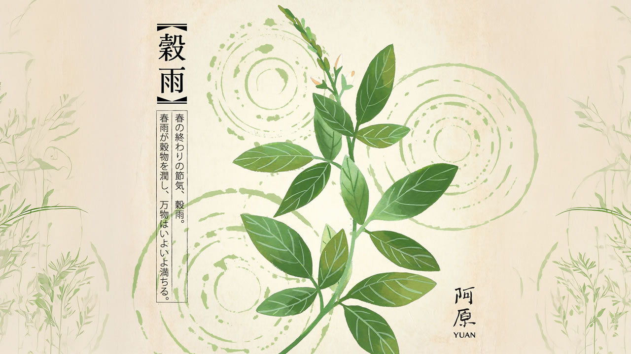 二十四節気「穀雨（こくう）」2026