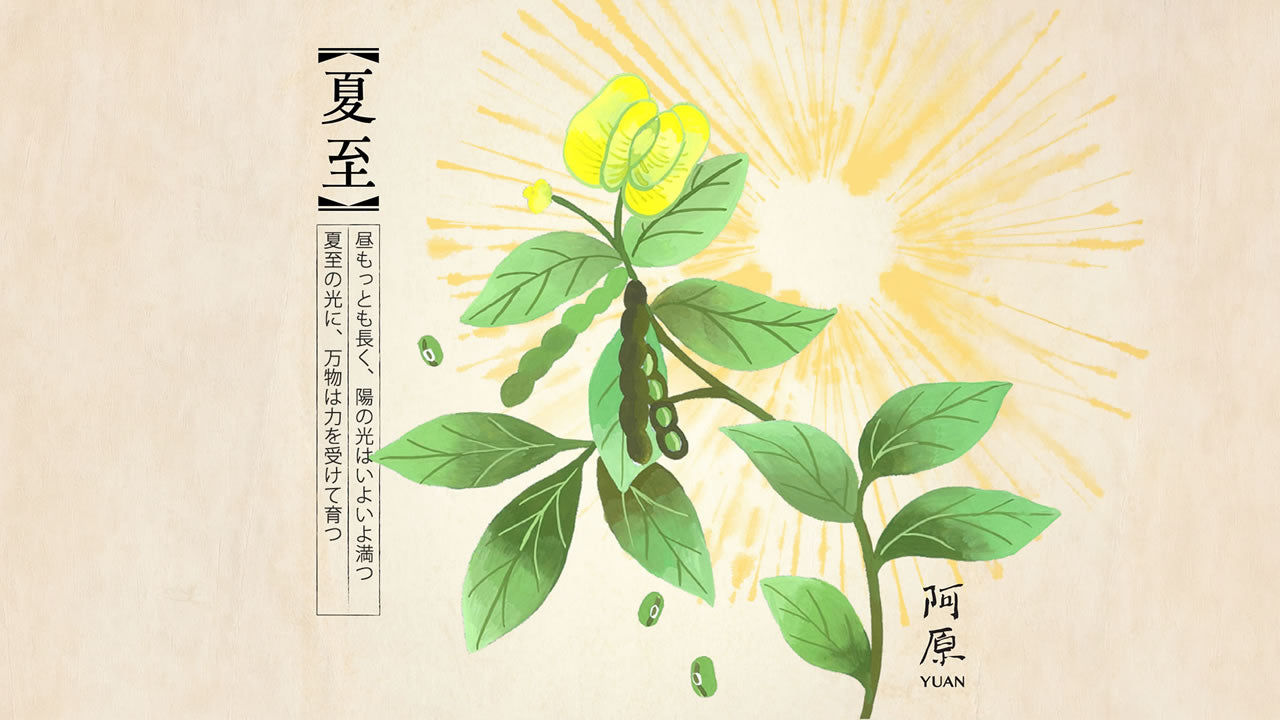 二十四節気「夏至（げし）」2026