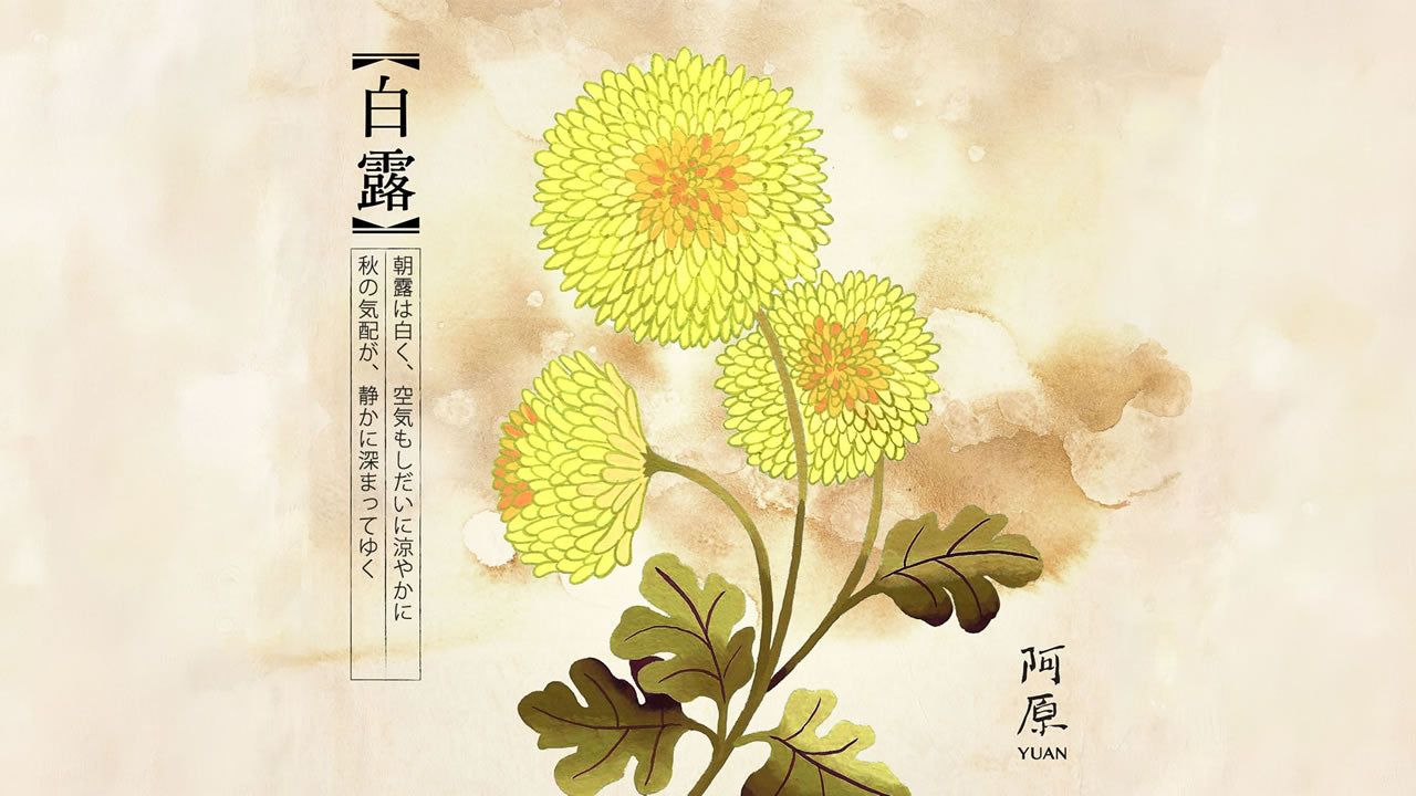 二十四節気「白露（はくろ）」2026