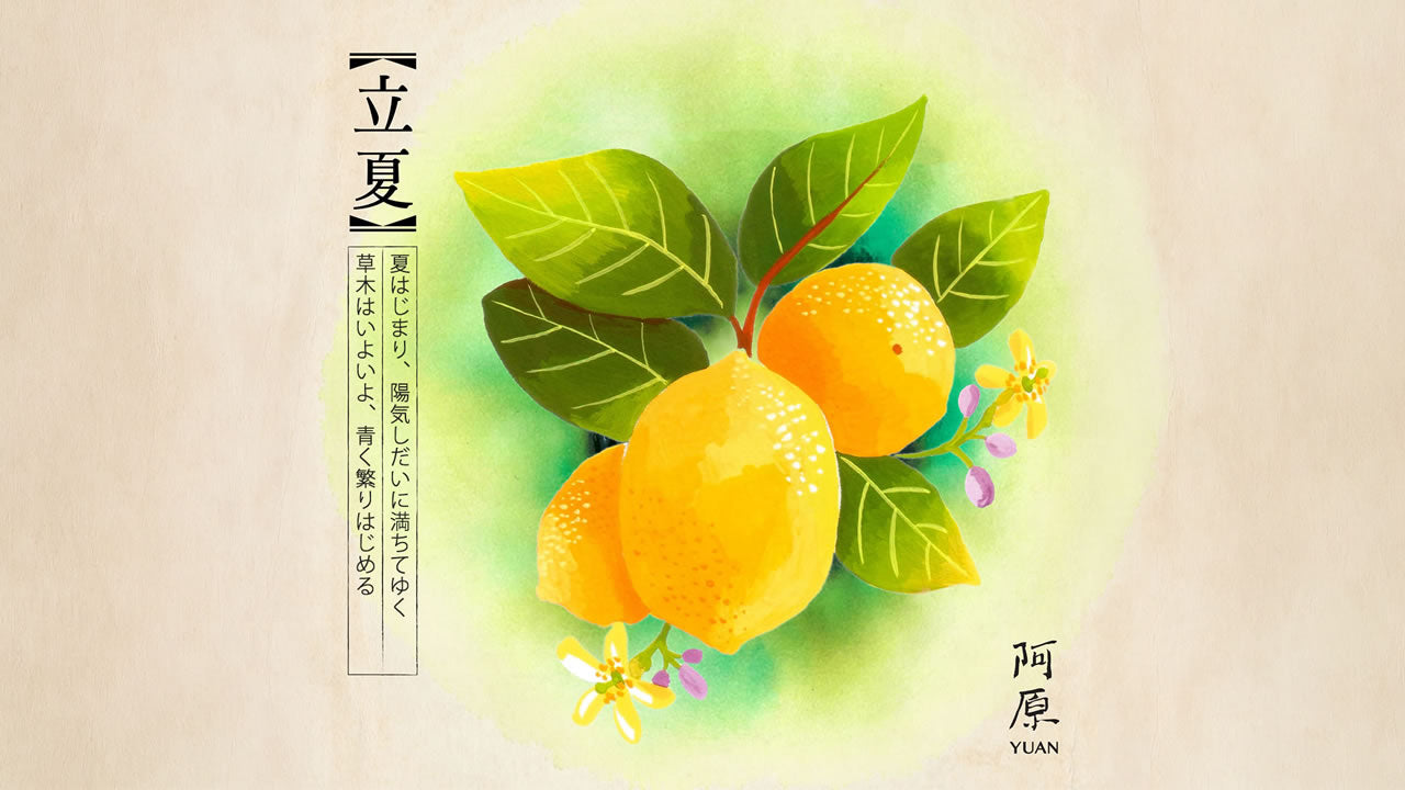 二十四節気「立夏（りっか）」2026