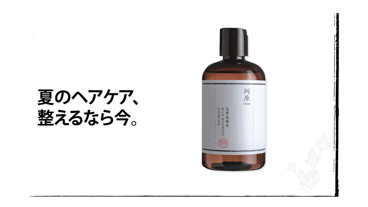 夏のヘアケア、整えるなら今。「ヘアケアまとめ買いキャンペーン」開催のお知らせ