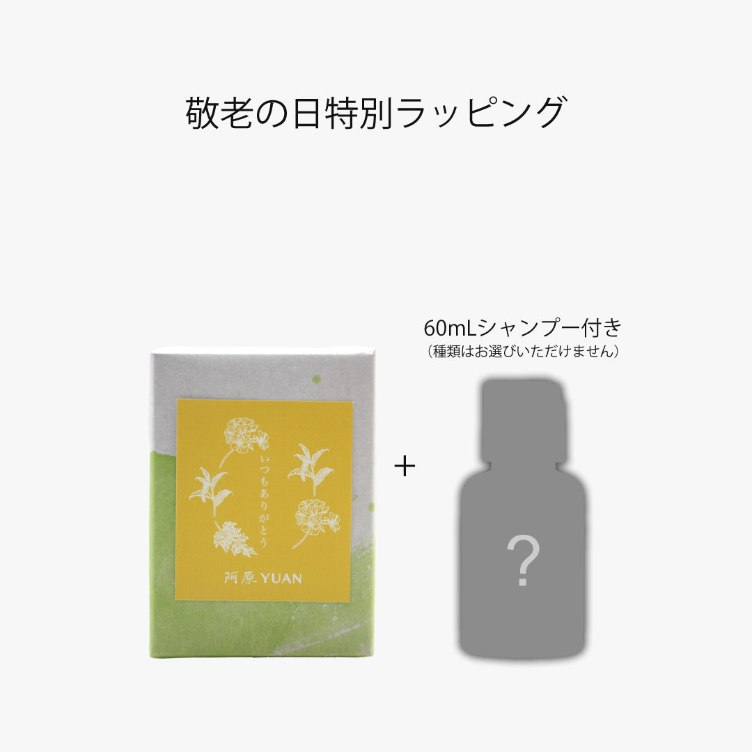 金好梳ヘアブラシ スクエアタイプ｜手のひらサイズで便利な頭皮